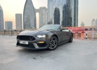 Ford Mustang Convertible V4 2020